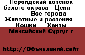 Персидский котенок белого окраса › Цена ­ 35 000 - Все города Животные и растения » Кошки   . Ханты-Мансийский,Сургут г.